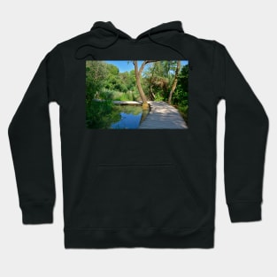 Walkway on the Skradinski Buk Trail Hoodie